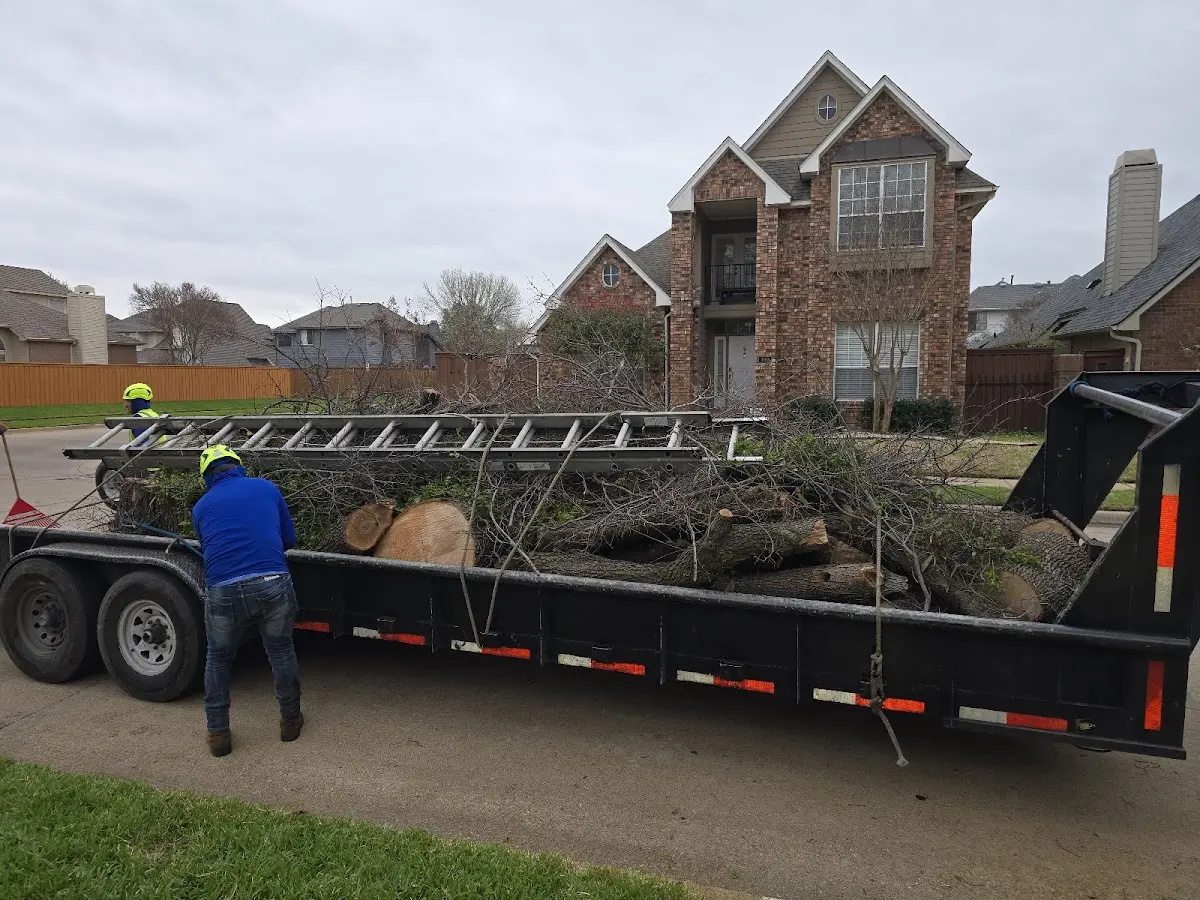 Expert Tree Removal with proper safety equipment in Hurt